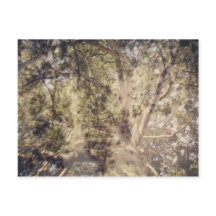Baumschichten Digitale Kunst