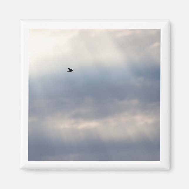 Baumschlucken 2 x 2-fach-Magnet Magnet (Vorne)