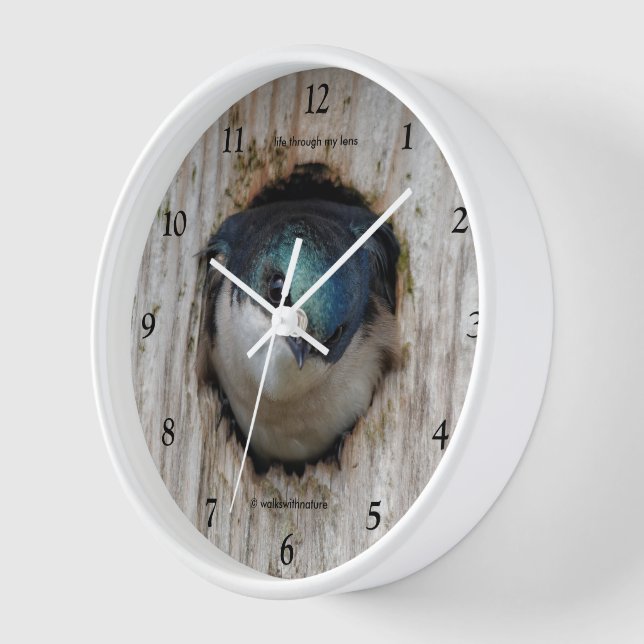 Baumschlucken in einer Nestbox Wanduhr (Winkel)