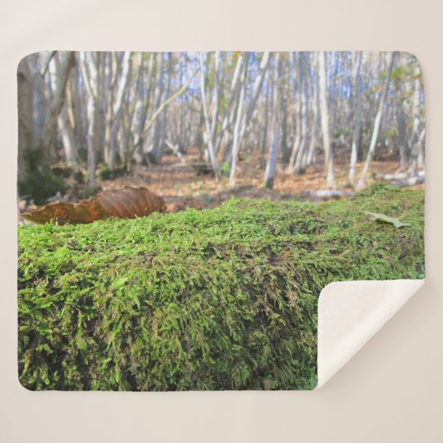 Baumschlummer im Herbstmoos - Personalisiert Sherpadecke (Vorderseite (Horizontal))