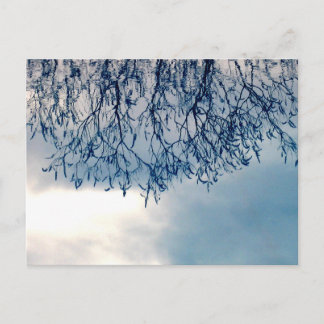 Baumspiegelungen auf Wasser Naturfotografie Postkarte