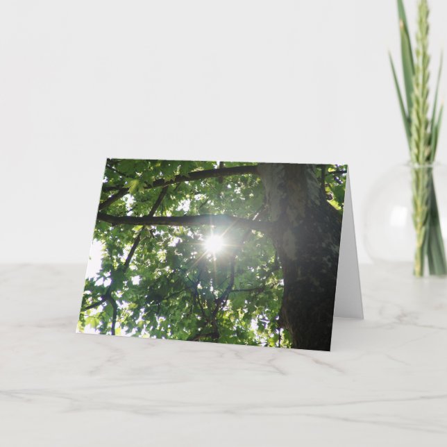 Baumspitze Karte (Vorderseite)