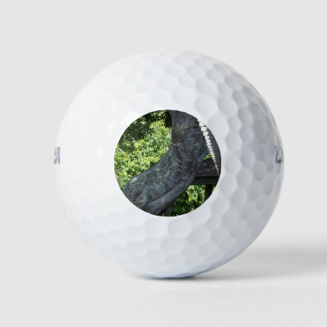 Baumstamm Golfball (Vorderseite)