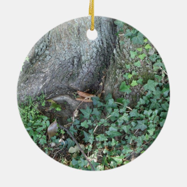 Baumstamm und Efeu im Wald Keramik Ornament (Hinten)