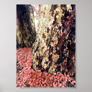 Baumstämme Poster