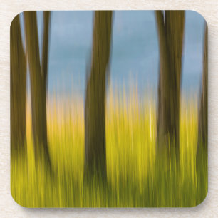 Baumstämme und Gras   San Juan Islands, WA Getränkeuntersetzer