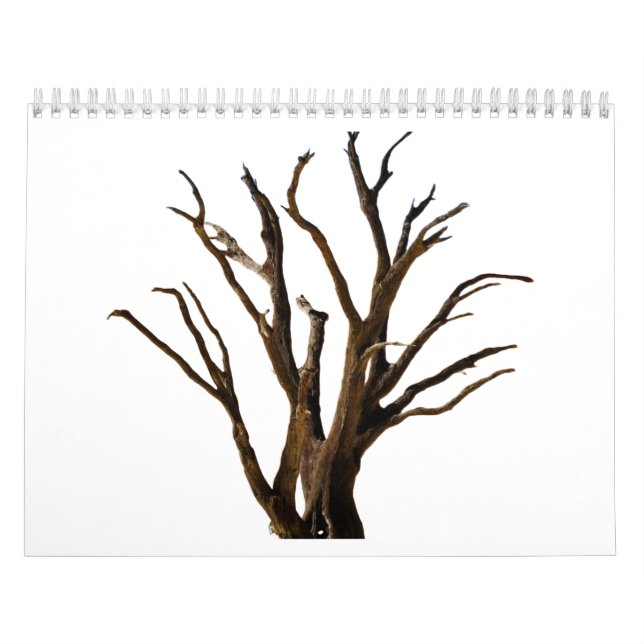 Baumstruktur Kalender (Titelbild)