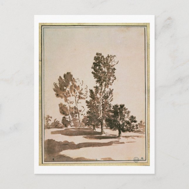 Baumstudie (Stift & Tinte auf Papier) Postkarte (Vorderseite)