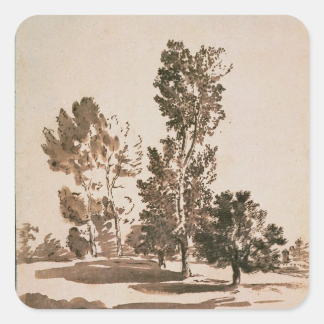 Baumstudie (Stift & Tinte auf Papier) Quadratischer Aufkleber (Vorderseite)