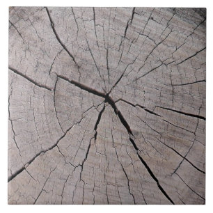 Baumstumpf rustikal natürlichen Hintergrund Fliese