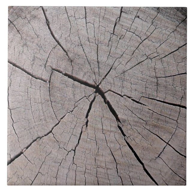 Baumstumpf rustikal natürlichen Hintergrund Fliese (Vorderseite)