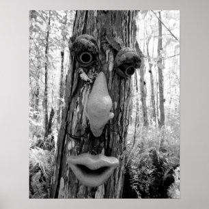 Baumtroll auf einem Big Cypress-Baum. Poster