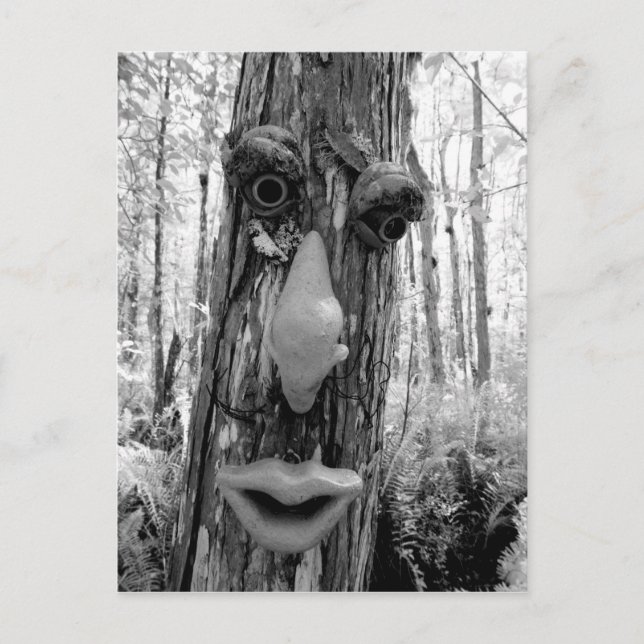 Baumtroll auf einem Big Cypress-Baum. Postkarte (Vorderseite)