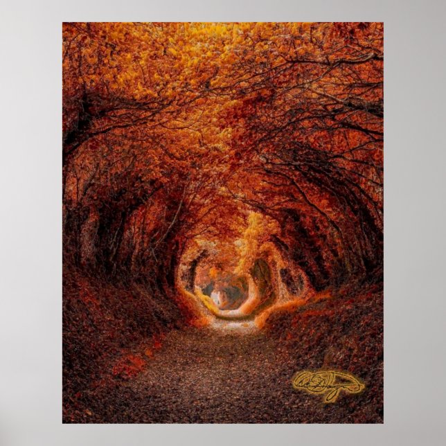 Baumtunnel - Ein Licht am Ende des Tunnels Poster (Vorne)