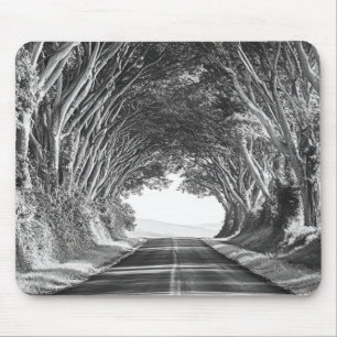 Baumtunnel Kauai Fotografie Schwarz und Weiß Mousepad