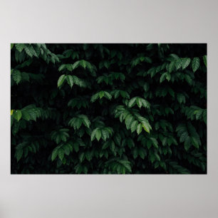 BAUMUSTER POSTER