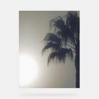 BAUMUSTER-STYLE