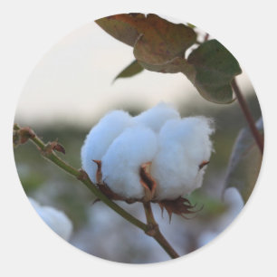 Baumwollaufkleber Runder Aufkleber