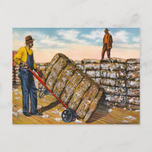 Baumwollbälle in den südlichen Tiefen der 1920er J Postkarte