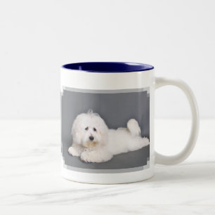 Baumwolle de Tulear - Joci Zweifarbige Tasse