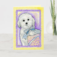 Baumwolle de Tulear Thank Sie kardieren