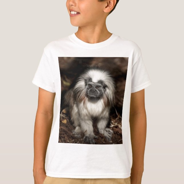 Baumwolle-Spitze Tamarin T-Shirt (Vorderseite)