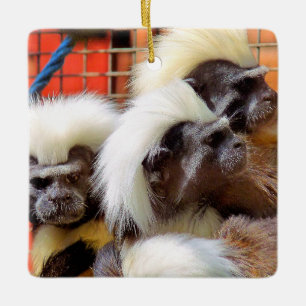 BAUMWOLLE - TOP TAMARIN MONKEYS KERAMIKORNAMENT