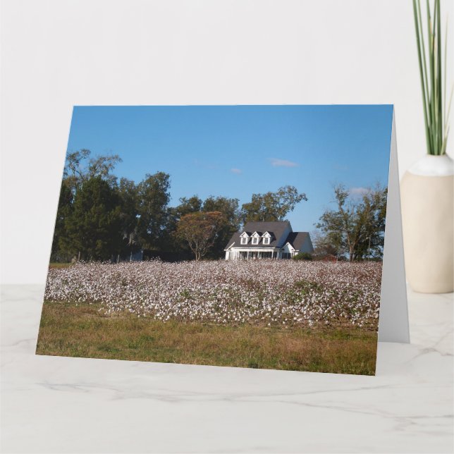 Baumwollfeld in Georgien mit Zuhause Card Karte (Vorderseite)