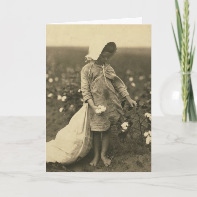 Baumwollfeld Karte (Vorderseite)