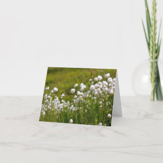 Baumwollgras-Wiese - 4" x 5,6" Notizkarte Feiertagskarte