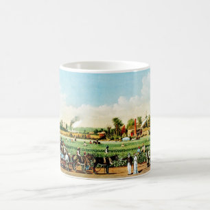 Baumwollplantage in Mississippi, USA Kaffeetasse