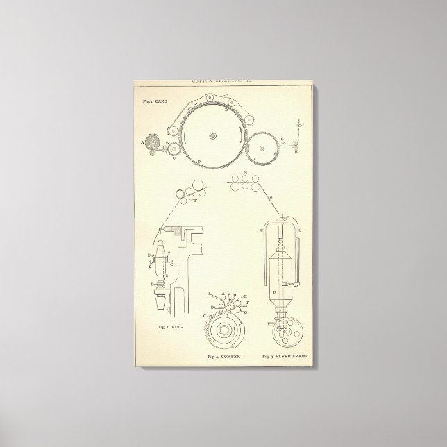 Baumwollspinnen II Leinwanddruck (Vorderseite)