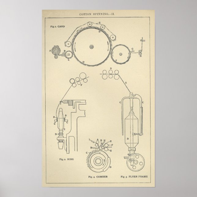 Baumwollspinnen II Poster (Vorne)