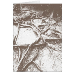 Baumwurzeln auf Mt. Kurama