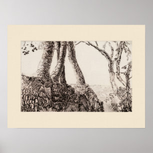 Baumwurzeln Cornwall Eleanor Hughes Nachdruck Poster