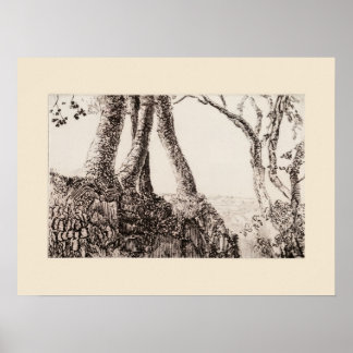 Baumwurzeln Cornwall Eleanor Hughes Nachdruck Poster