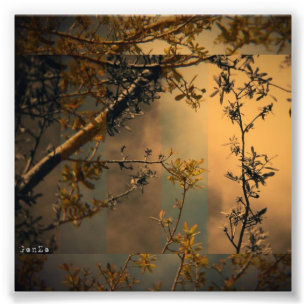 Baumzweig Fotodruck