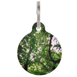 Baumzweige Haustiermarke