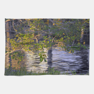 Baumzweige, Sonnenlicht, Spiegelung Küchentuch