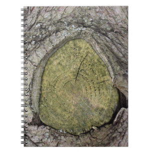 Baumzweigstube Nah Notizblock