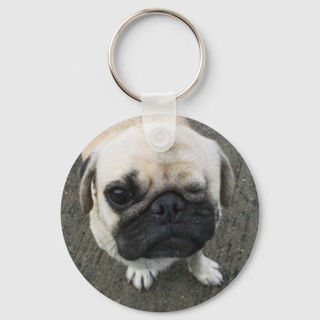 Bauwk ... Mops Hund ... か い い 犬 わ Schlüsselanhänger (Vorderseite)