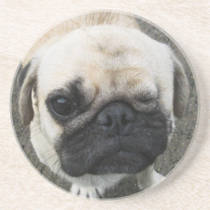 Bauwk ... Niedlicher Mops Welpen Hund ... Thailand Sandstein Untersetzer