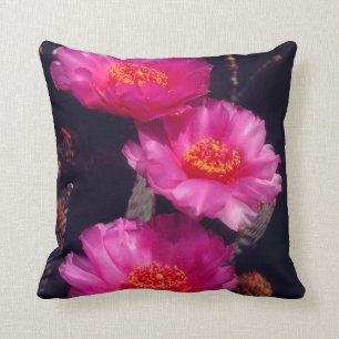 Bavertail-Kakteen Blume 2 Kissen