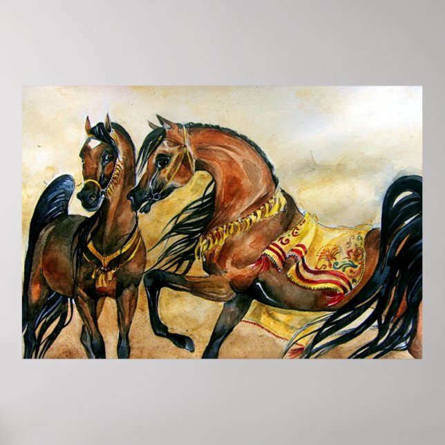Bay Arabian Horse Portrait Poster Print (Vorne)