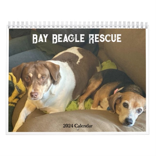 Bay Beagle Rescue 2024 Calendar Kalender (Titelbild)