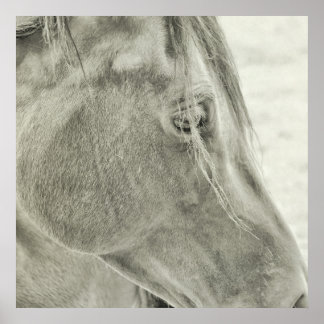 BAY BEAUTY 24x24 Poster