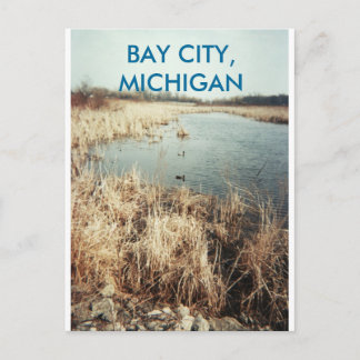 BAY CITY, MICHIGAN POSTCARD POSTKARTE
