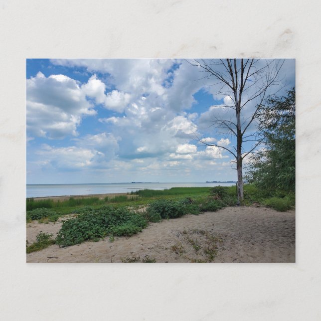 Bay City Staaten Park Postkarte (Vorderseite)