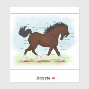 Bay Clydesdale Horse Anatomy Chart Aufkleber