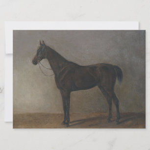 Bay Gelding Horse (von Albrecht Adam) Karte